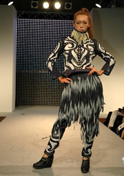 Maori fellos