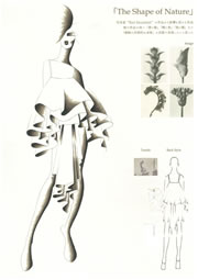 The Shape of Nature